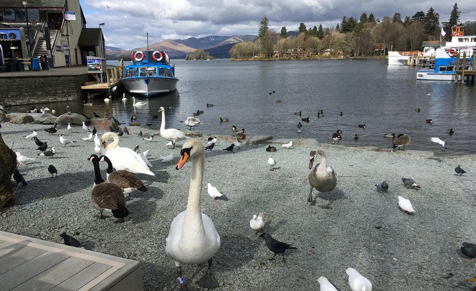 Bowness, departure point of steamers