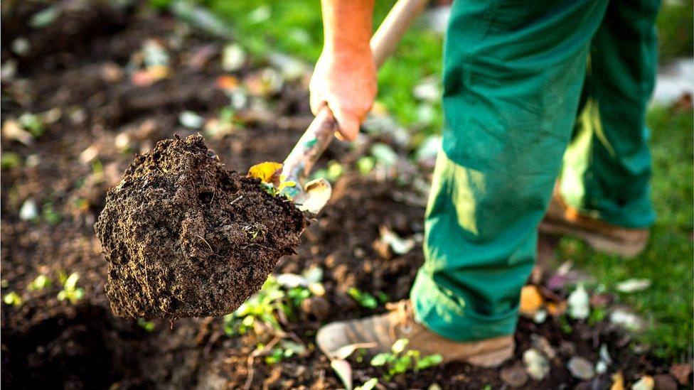 Man digging