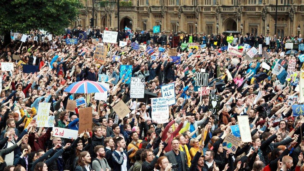 Pro-EU protest at Westminster