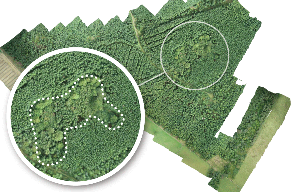 Laser technology revealed the unusual shaped earthworks from the air