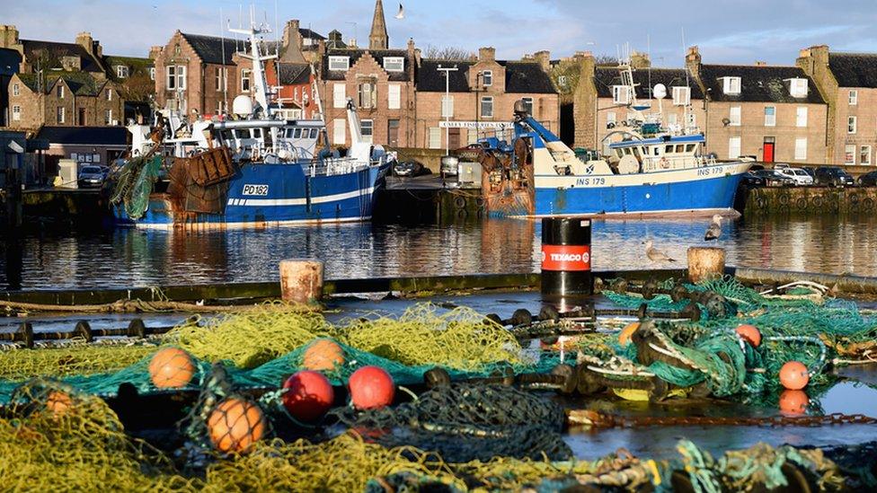 Peterhead harbour