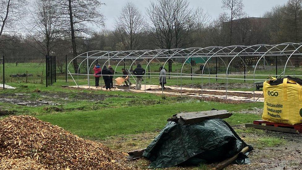 Volunteers at work at the Northern Roots site