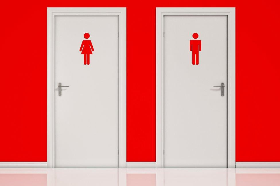 Toilet doors