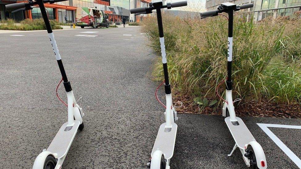 Bird e-scooter