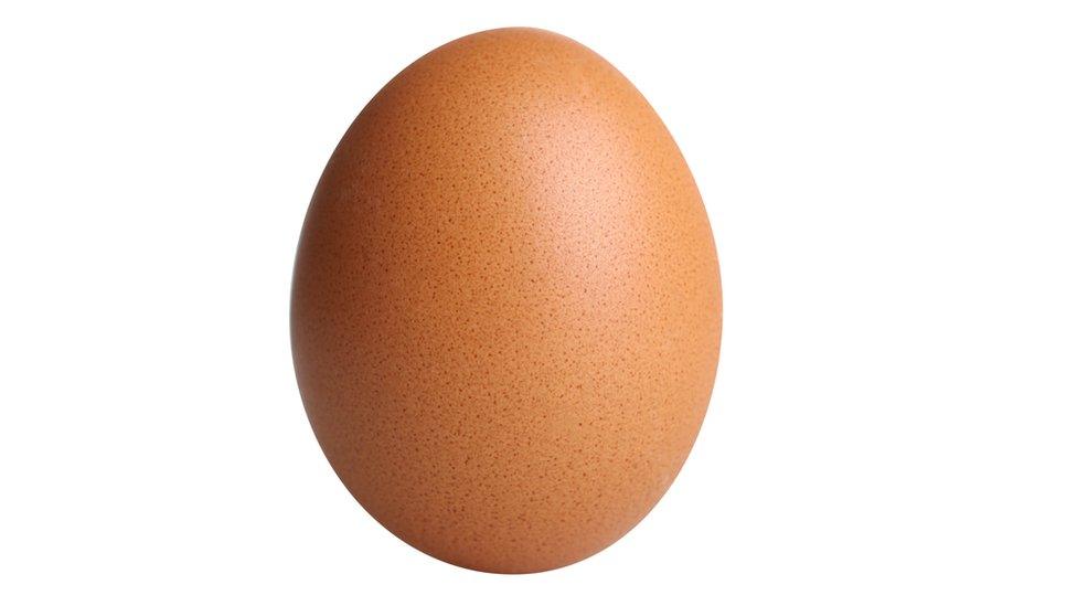 Egg