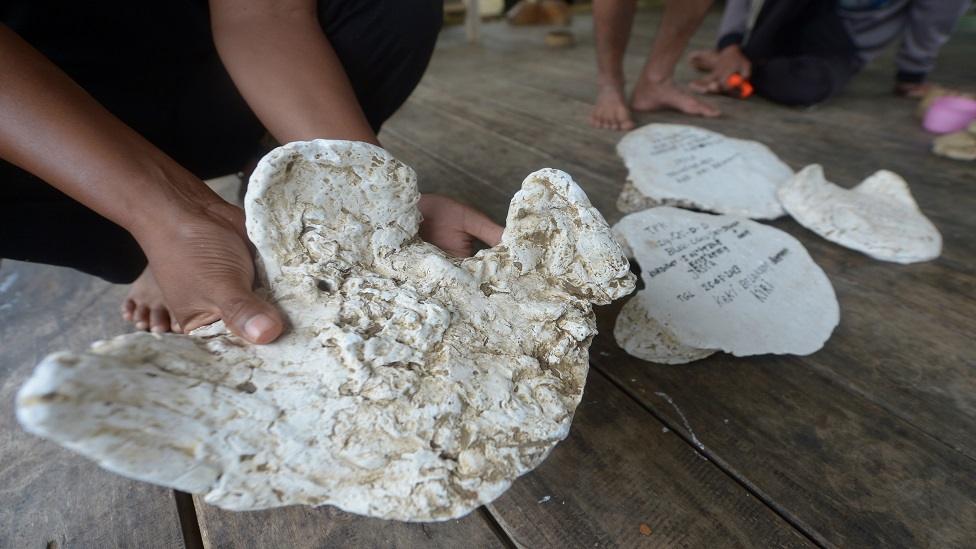 This picture taken on 16 November, 2013 shows a park official showing compounds of a rhino foot print in Ujung Kulon National Park in Indonesia's Banten province