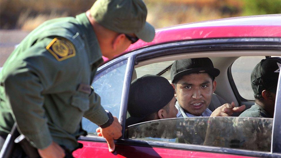 Border Patrol agent checks vehicles for illegal immigrants and contraband at a roadside checkpoint June 1, 2010 near Sasabe, Arizona