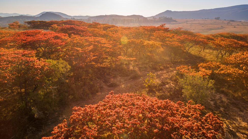 Msasas in Nyanga, Zimbabwe