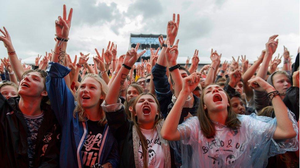 Fans at a music festival