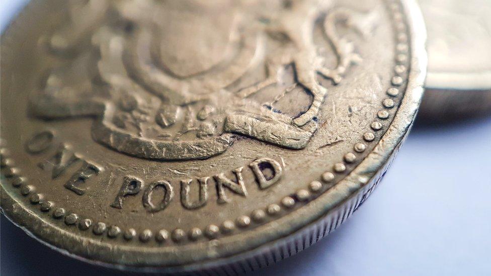 Pound coin