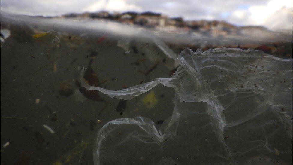 Plastic waste floating in the sea.