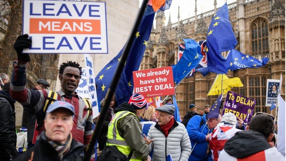 Brexit protestors