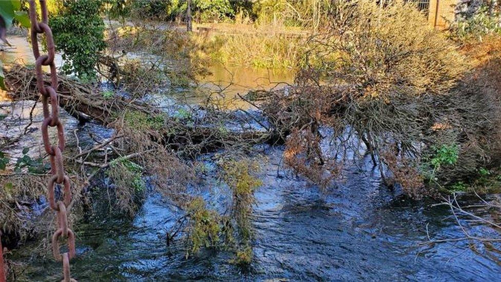 The blockage at River Lambourne