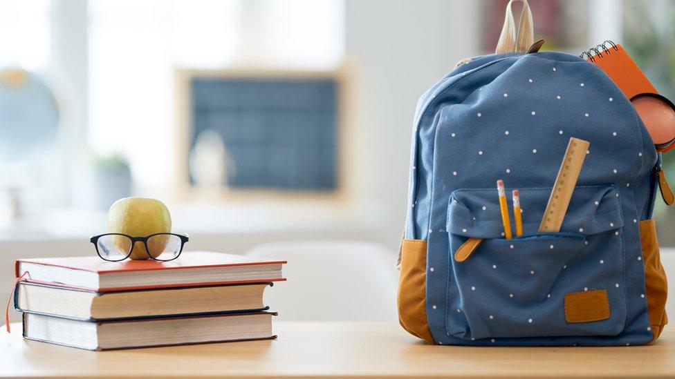 Schoolbag and books