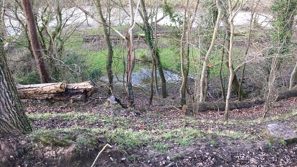 River Clwyd at Abbey Road, Rhuddlan