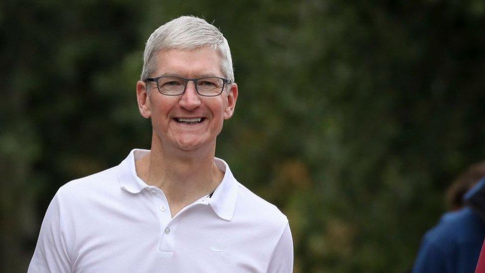 Apple chief executive Tim Cook