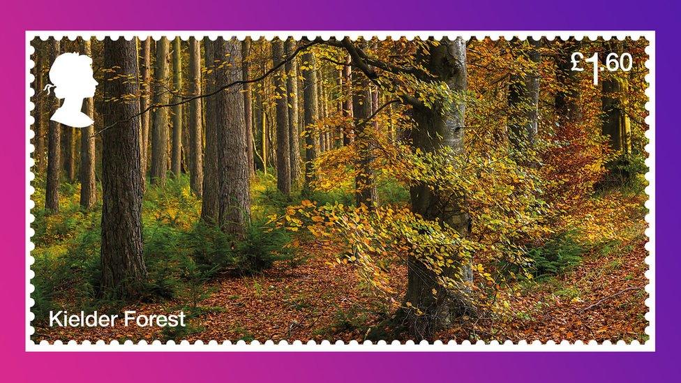 kielder-forest-stamp.