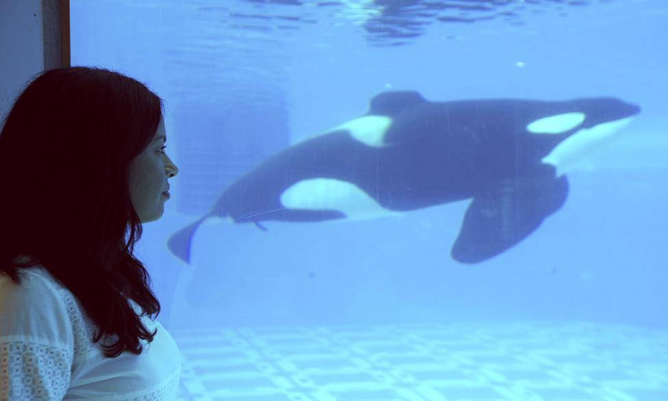 Liz Bonnin at SeaWorld