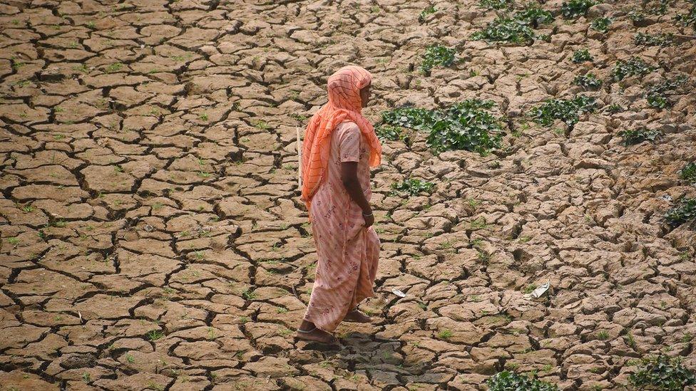 Drought India