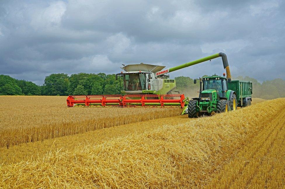 Harvest in a field