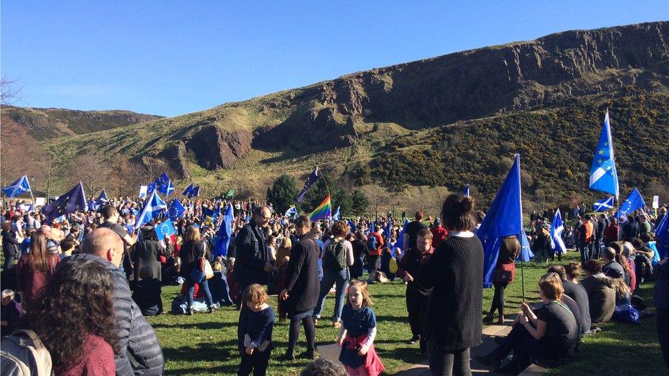 Flags at the Euro march in Edinburgh