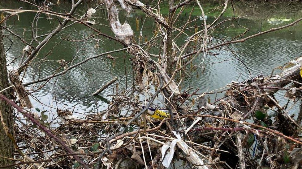 Wet wipes along the river Avon at Saltford January 2023 after diluted sewerage storm overflow discharged