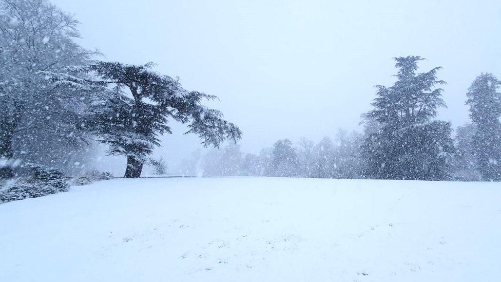 Minterne Magna in the snow