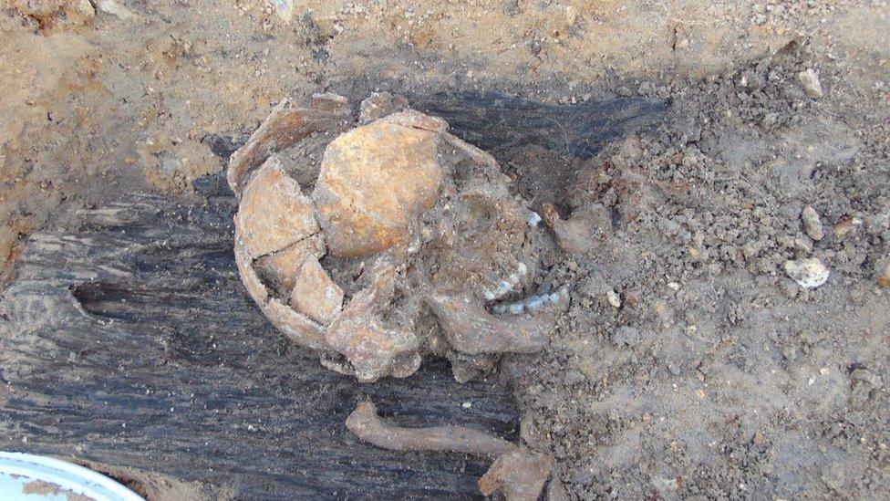 Anglo-Saxon skull at Great Ryburgh in Norfolk