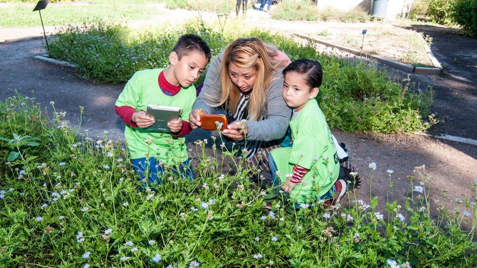 Family takes photos of flowers and butterflies at the centre