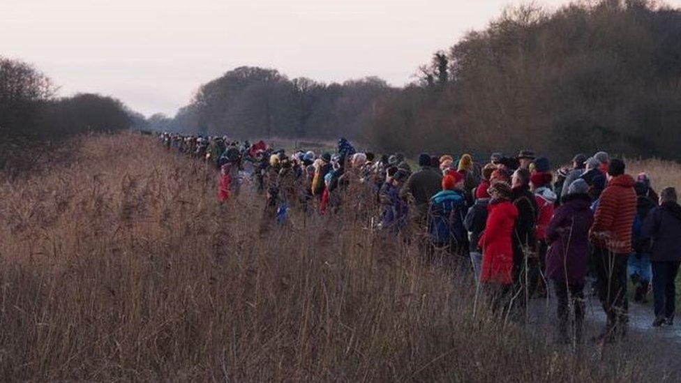 Starling Crowds