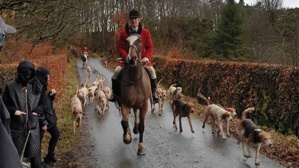 fox hunting group