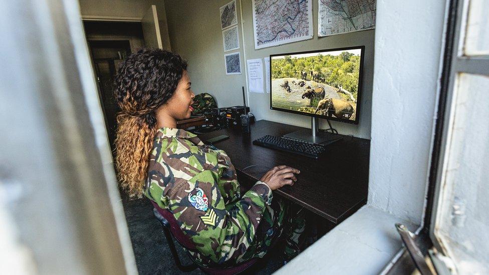 Rangers watching elephants on video screen.