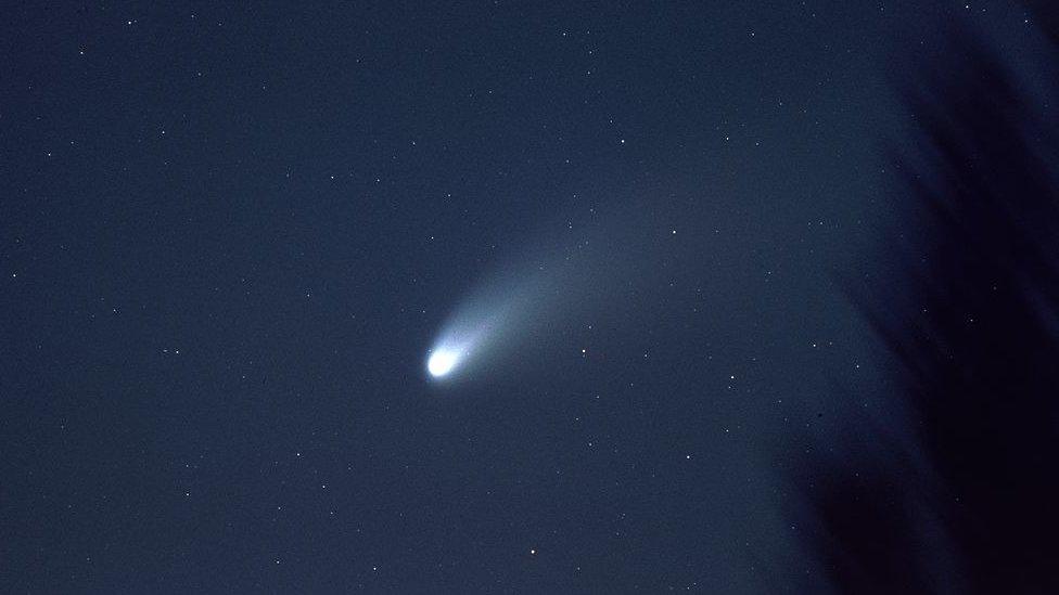 hale-bopp-comet