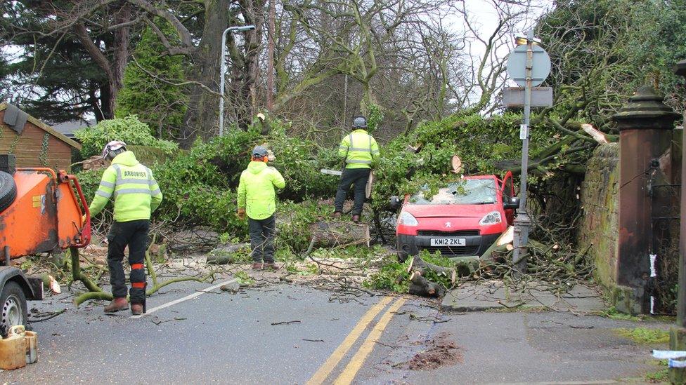 Tree flattens post office van in St Annes Road, Aigburth, Liverpool