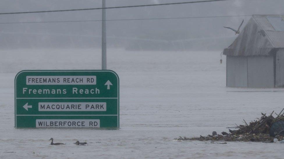 Image shows flooded street sign