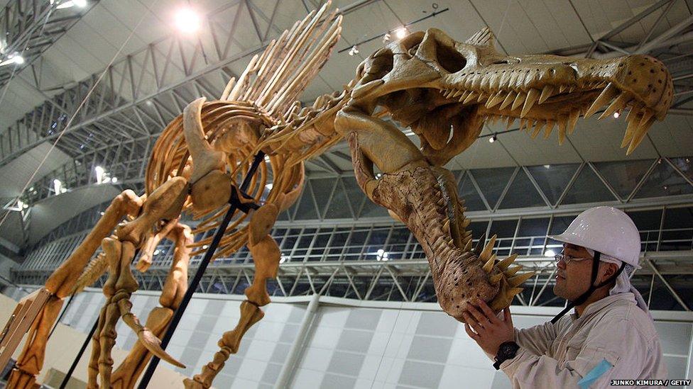 spinosaurus replica in china