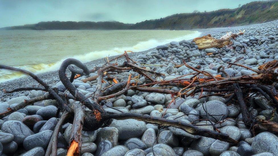 Cold Knap beach in Barry