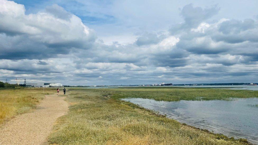 Calshot Marshes