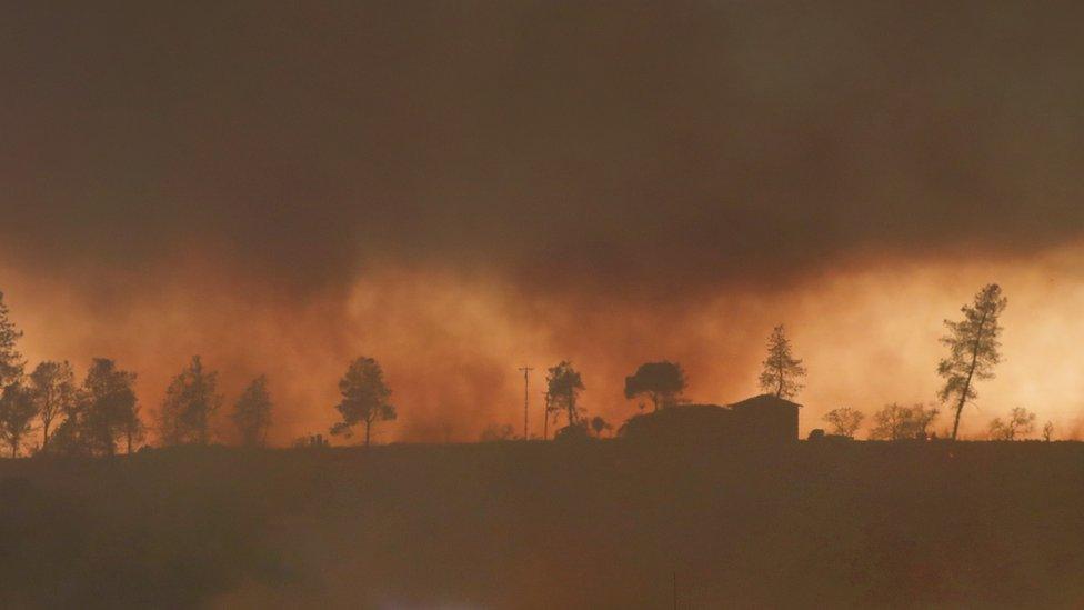 A dozer operator cuts a fire break west of Paradise, Calif., as the Camp Fire burns, Thursday, November 8, 2018