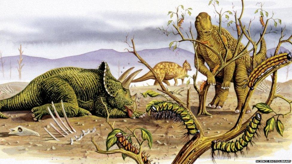 Herbivorous dinosaurs