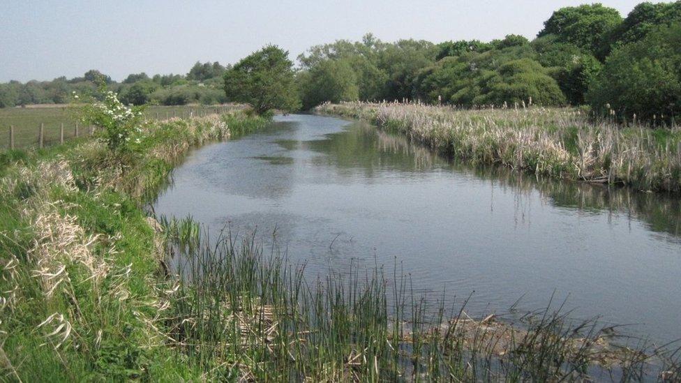 Winnall Moors Nature Reserve