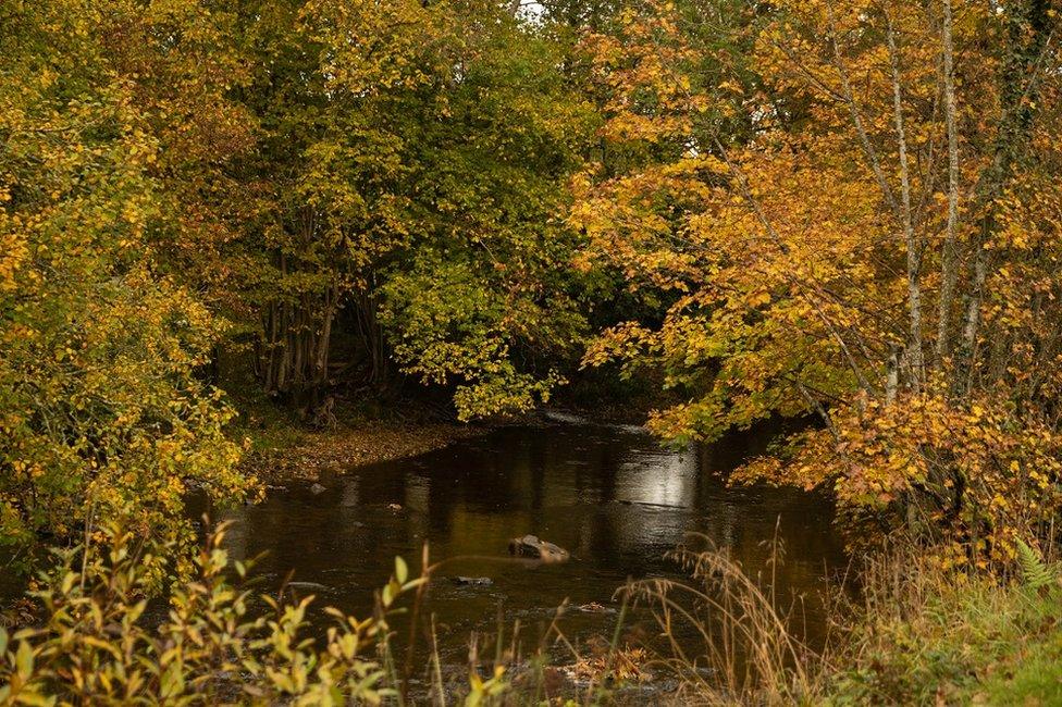 Afon Hafren