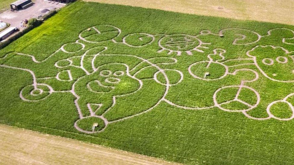 2019-shaun-the-sheep-maze.