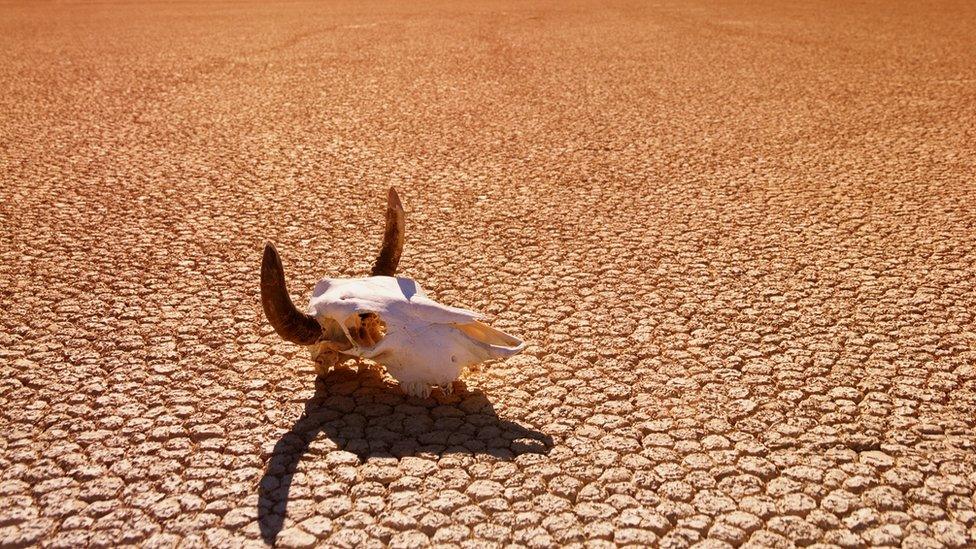 Death-Valley.