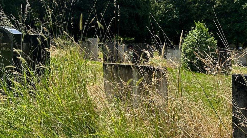 Overgrown graves at Whitworth Road Cemetery