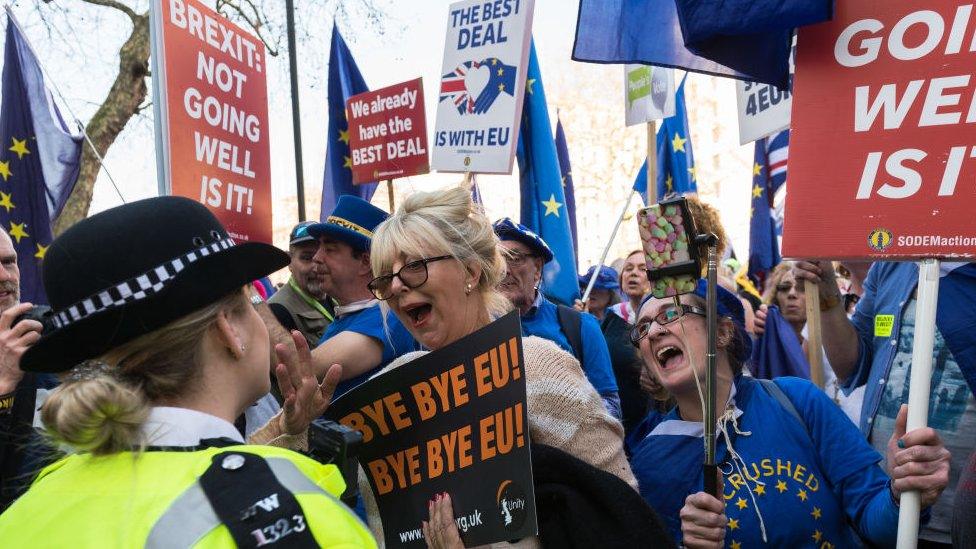 Brexit protesters holding placards