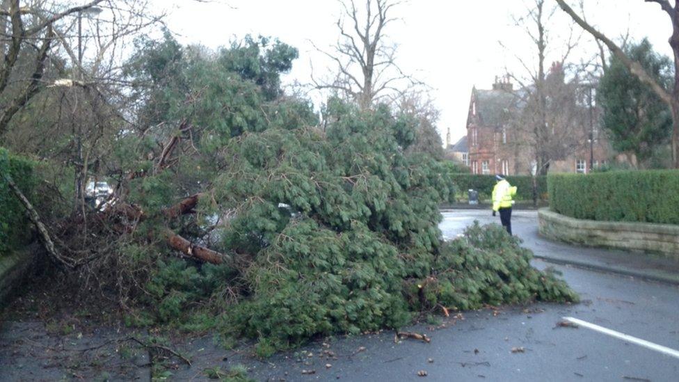 Hermitage Drive, Edinburgh Pic: Angie Brown