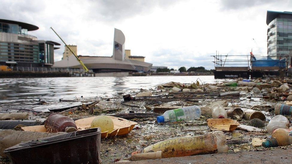 Plastic bottle at Salford Quays, Manchester