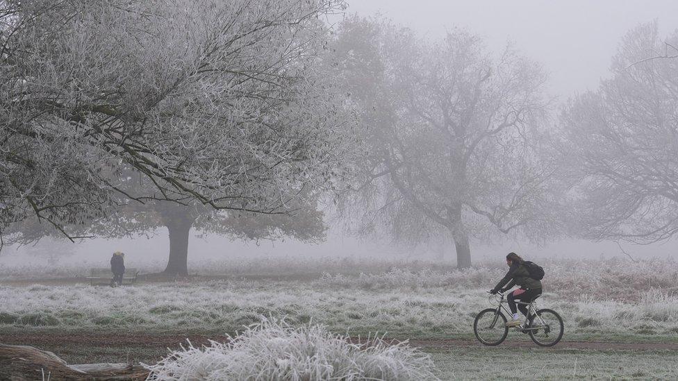 Walkers and a cyclist in a park in icy conditions