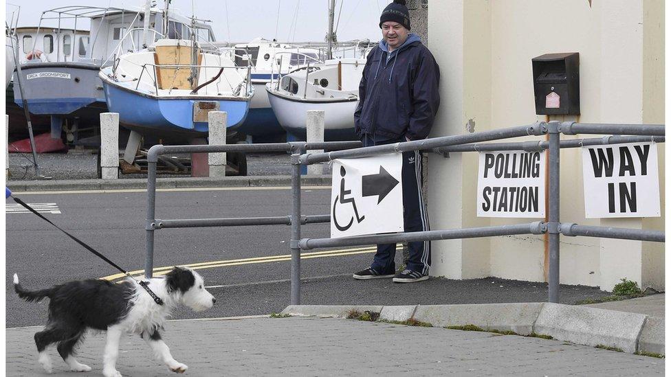 A dog makes its way to a boathouse being used as a polling station at Groomsport